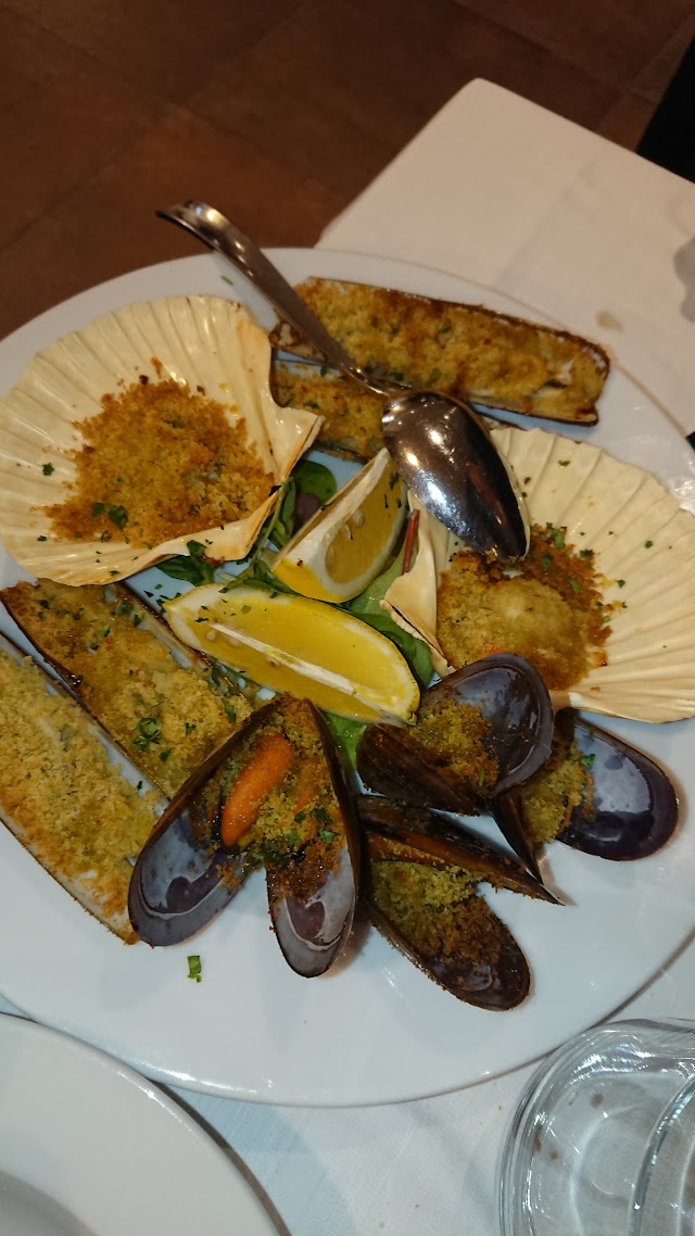 Taverna 41