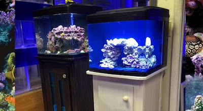 Aquarium Stands Direct