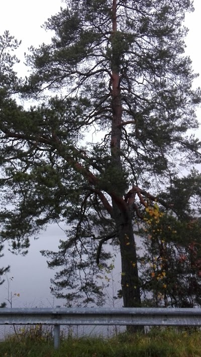 Photos of Abc Hirvaskangas