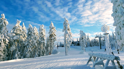 IGMA Lodge Gallery - Sweden
