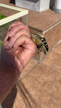 ヘアーサロン ツリー