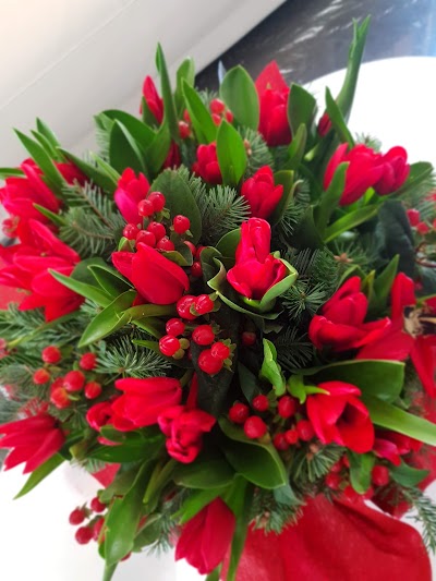 Photos of Taqoosh Flower Shop