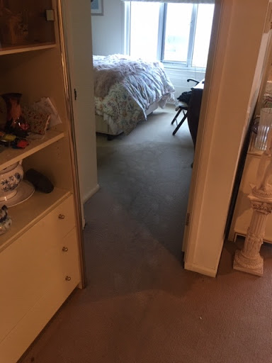 Jena's Carpet Cleaning - Thumbnail