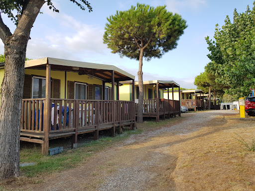 Camping Dei Pini - Visual