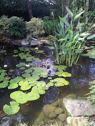 Photo n°6 de BRIENNE JARDIN à Sannois (Paysagiste)