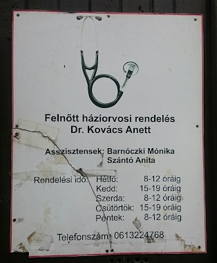 Dr. Kovács Anett, Author: Katalin Németh