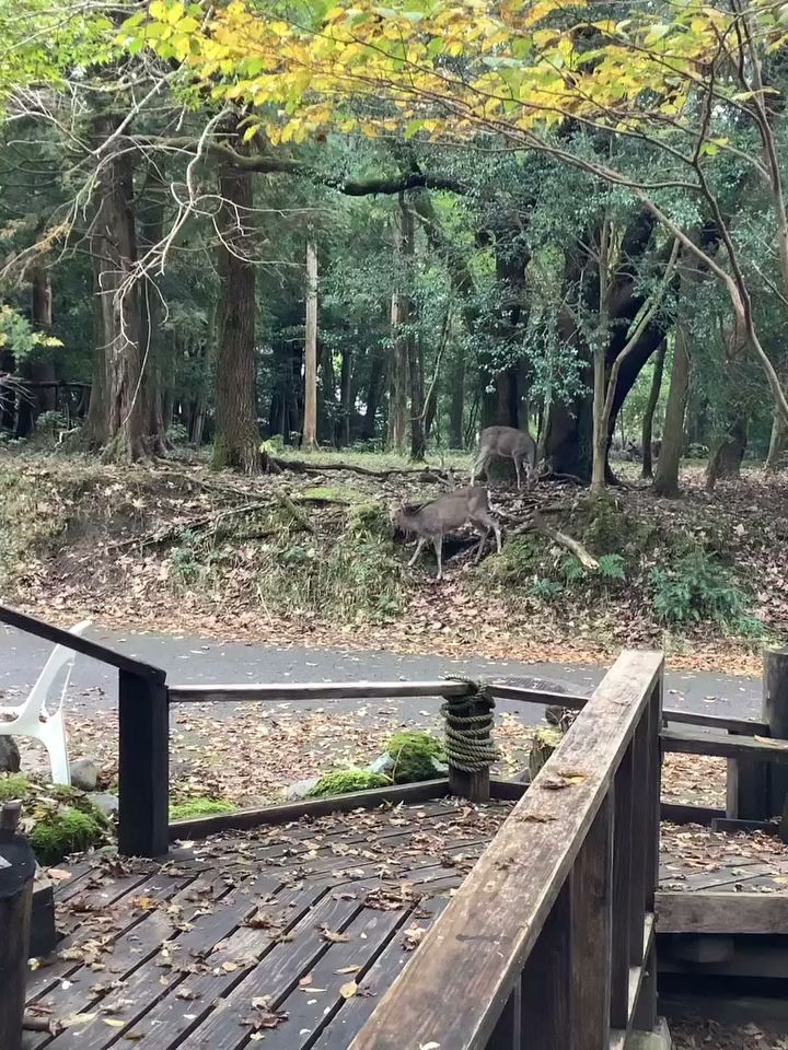 貸別荘・グランピング ひめしゃら