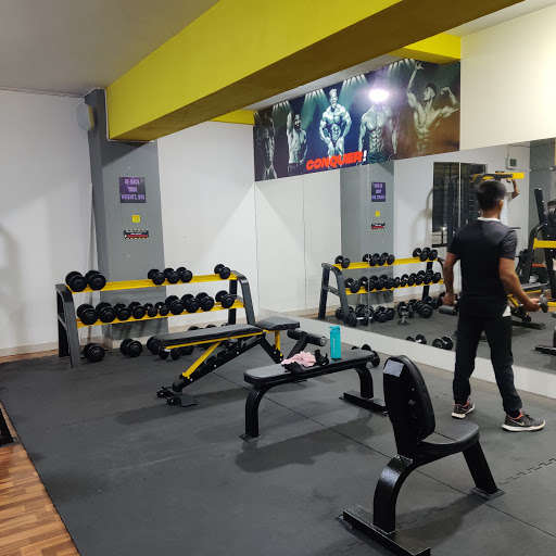 Gallery image 75