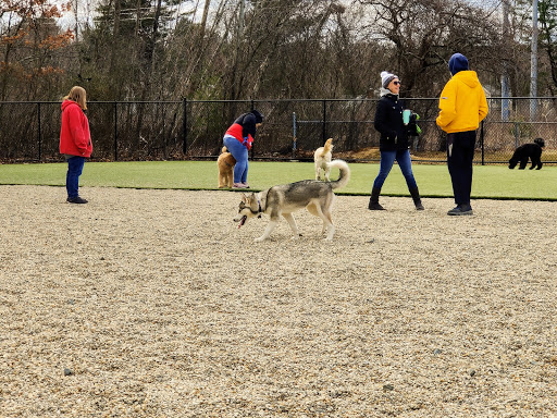 Burlington Dog Park at Rahanis Park - Thumbnail