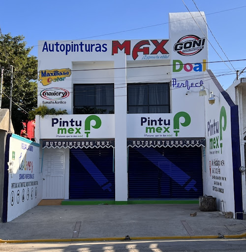 AUTOPINTURAS MAX - Visual