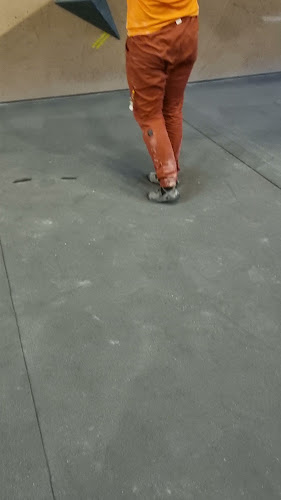 Comentarii opinii despre MOOD