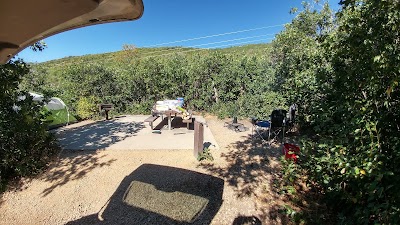 Pine Creek Campground Cottonwood Loop