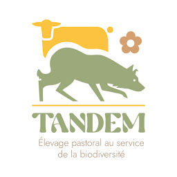 Photo n°23 de Tandem Animaux / Elevage pastoral au service de la biodiversité / Millmeadow Border collie à Magny-Jobert (Éleveur de chiens)