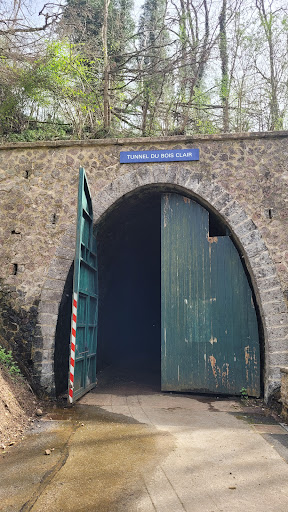 Entrée sud du tunnel du Bois Clair - Thumbnail