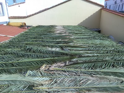 Photos of El Mirador