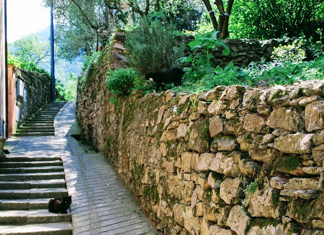 Passeggiata al Promontorio di Portofino