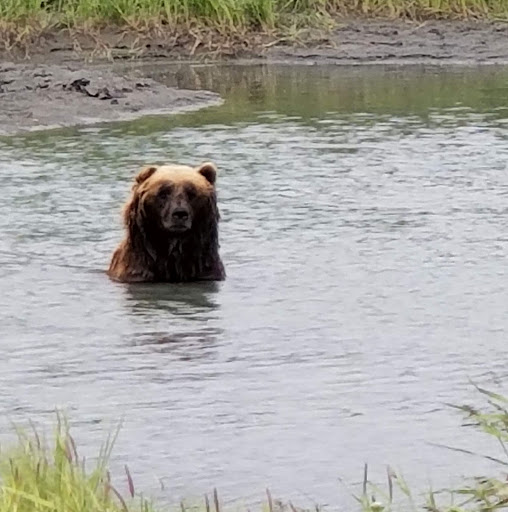 Alaska Travel Sevices - Thumbnail