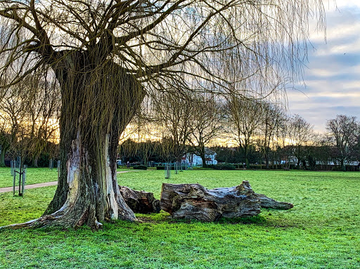 Redlees Park - Thumbnail