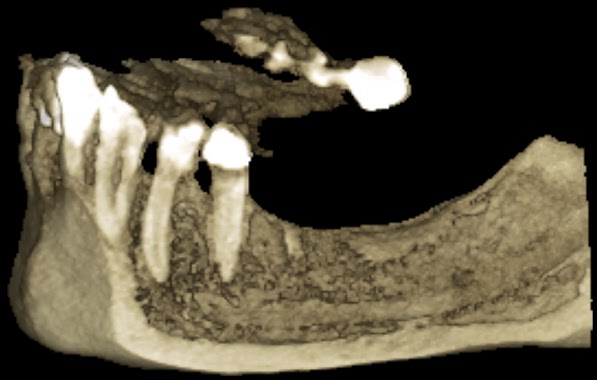 CRYT Centro Radiológico y Tomográfico Odontológico / Dental, Author: CRYT Centro Radiológico y Tomográfico Odontológico / Dental