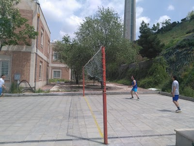 Photos of Milad Tower Dolphin Park
