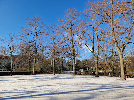 Bouleplatz Lindenrondell - Thumbnail