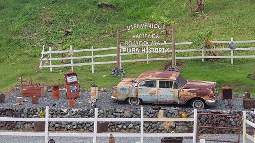 Transporte Rosado, Inc - Thumbnail