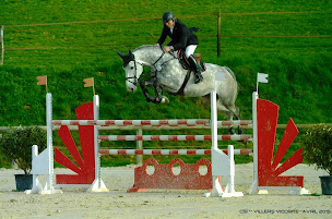 Photo n°5 de Haras de Villers - Commerce - Pensions de Chevaux - Compétition - Coaching à Erquery (Éleveur de chevaux)