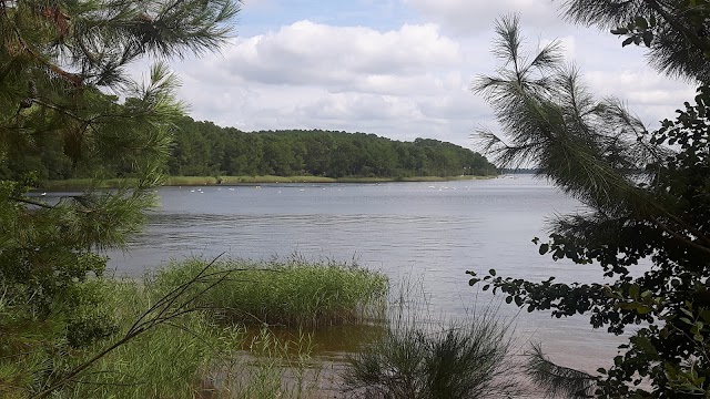 Plage de la Grande Escoure