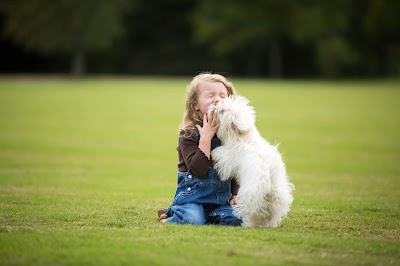 All Creatures Veterinary Clinic