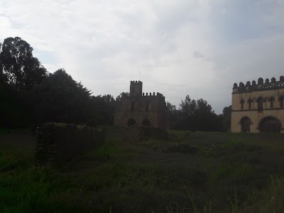 Photos of Royal Enclosure