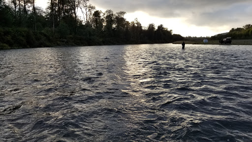 Olympic National - Thumbnail