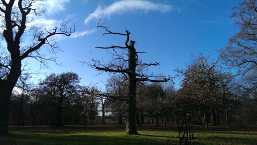 UEA Car Park - Thumbnail