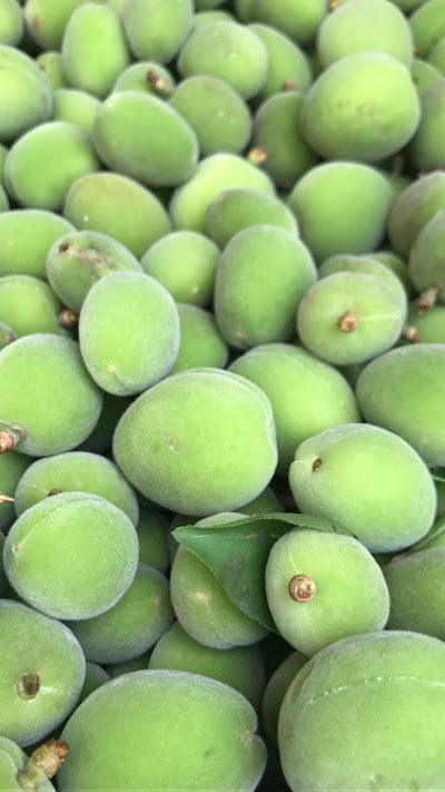 Photos of Bait Al Karam