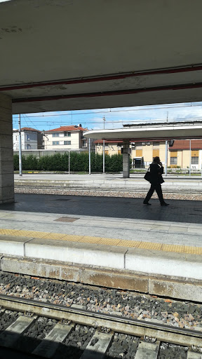 Guizza 183 - Visual