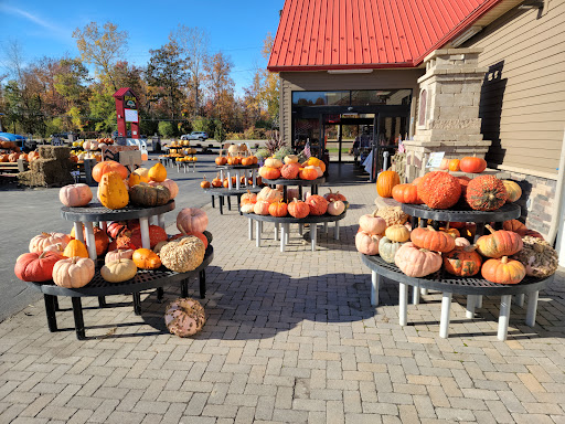 Gullo's Garden Center - Thumbnail