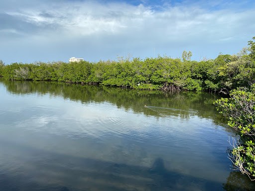 Wildcat Cove - Visual
