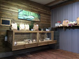 Photo n°9 de David Delphine Élevage à Baulon (Éleveur)