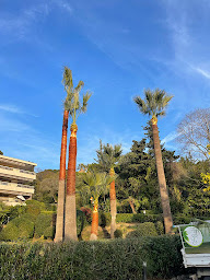 Photo n°14 de Adsens Garden à Le Cannet (Jardinier)