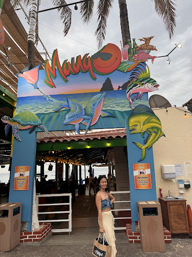 Mango Deck - Visual