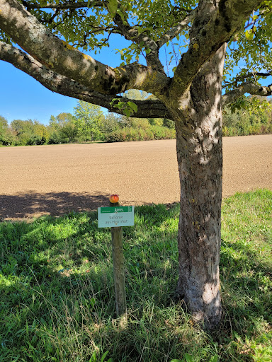 Obstbaumlehrpfad Bad Saulgau