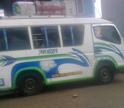 Photos of MORIA TRANSPORT