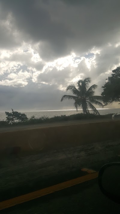 Photos of Los Palmeros Park