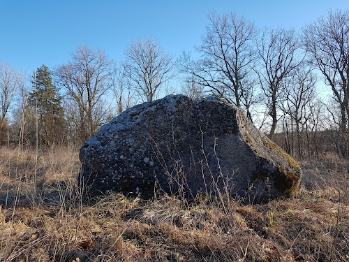 Piramīdas, Dižgari