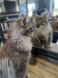 Photo n°8 de Évasion coiffure à La Brillanne (Salon de coiffure)