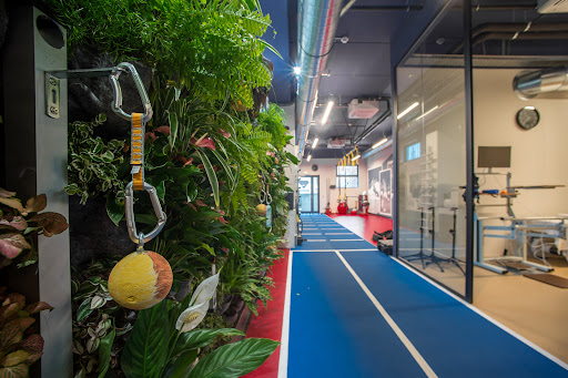Physiotechlab - Visual
