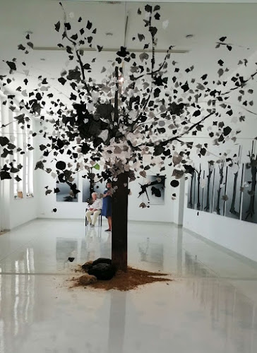 Opinii despre ΔΗΜΟΤΙΚΟ ΙΔΡΥΜΑ "ΜΟΥΣΕΙΟ ΚΩΣΤΑ ΤΣΟΚΛΗ" în Λάρισα - Μουσείο