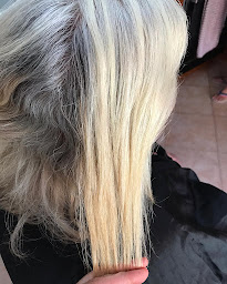 Photo n°20 de hair & Style coiffure à Le Luc (Salon de coiffure)