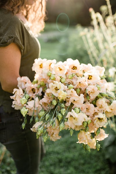 Tanglebloom | floral design + flower farm