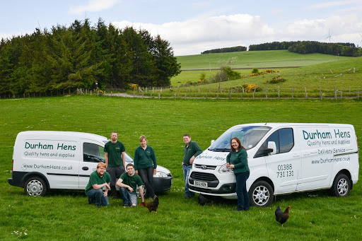 Durham Hens Limited - Thumbnail