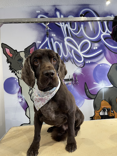 The Dog House Irthlingborough Gallery - United Kingdom